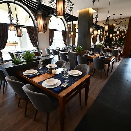 奥斯特波斯纳伊利扎酒店 5* Ilidža