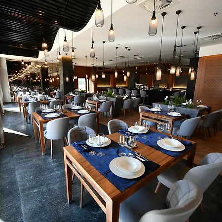 酒店 奥斯特波斯纳伊利扎酒店 Ilidža